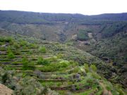 La Huetre, Cceres